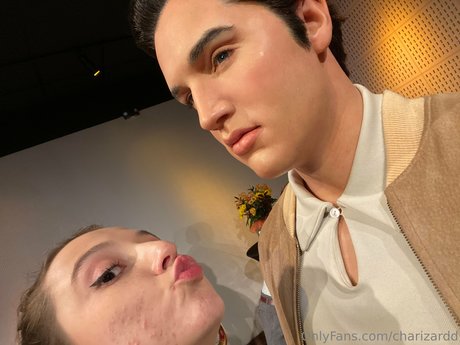 Charizard perfect model galleries