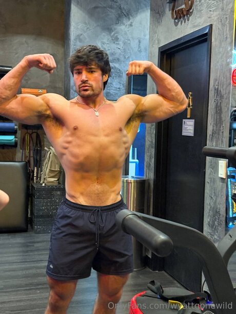 Wyattgonewild high quality pornstar archive