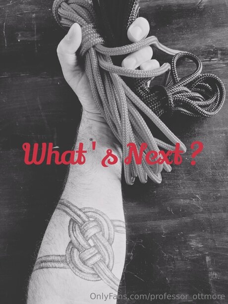 Professor Ottmore nice model gallery