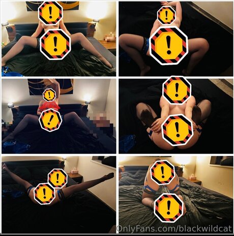 Blackwildcat model best image