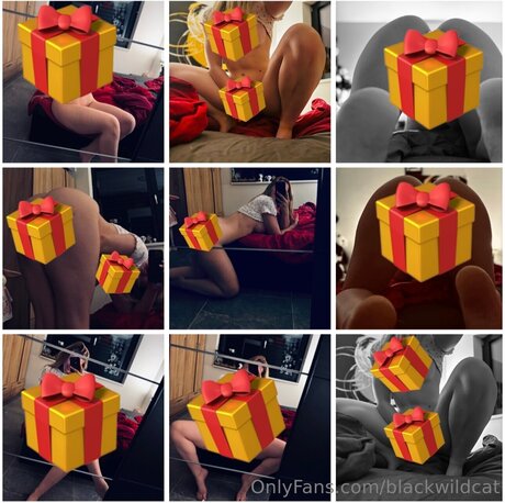 Blackwildcat model exclusive images