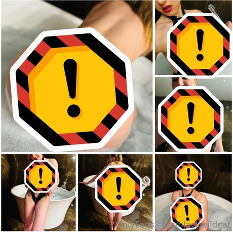 Blackwildcat sex model gallery