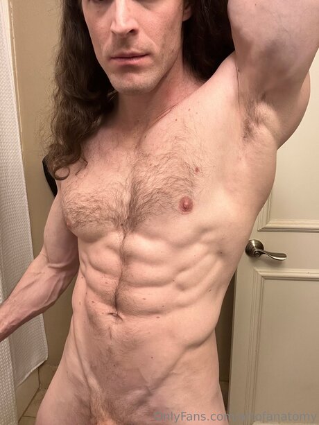 Artofanatomy art star galleries