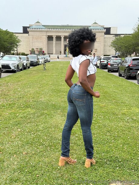 Ebonybutts star free photo