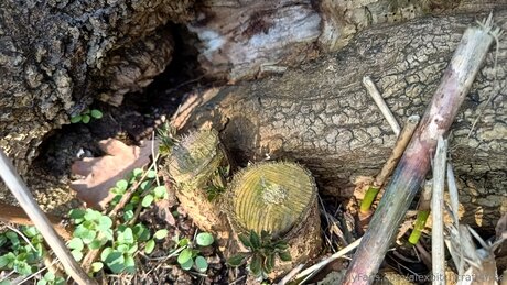 famous nude onlyfans best image