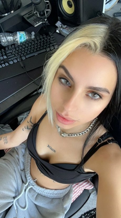 gabbigonxo sexy star archive