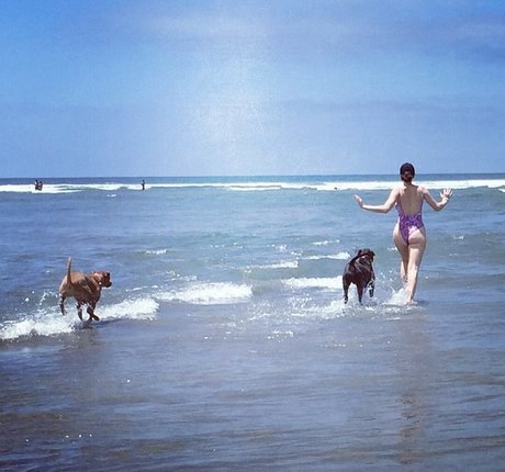 Whitney Cummings Profile