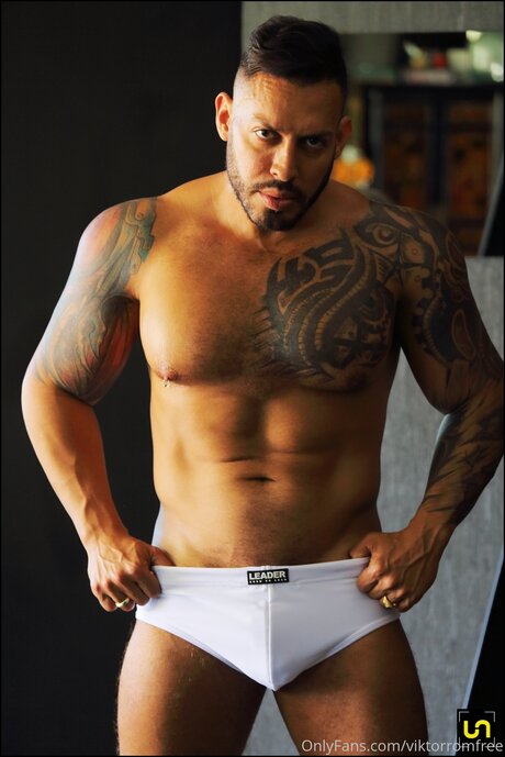 Viktorromvip art model picture