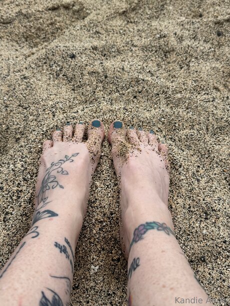 Tattedraiderette high quality pornstar picture