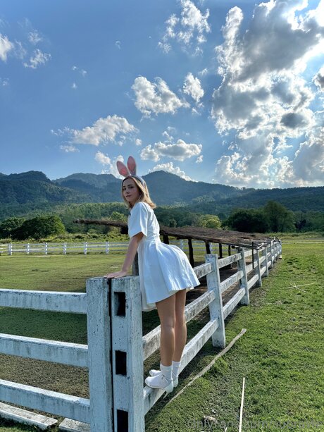 Supravie star hd photo