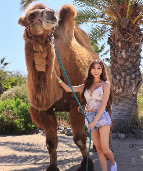 interracial threesome onlyfans top pictures