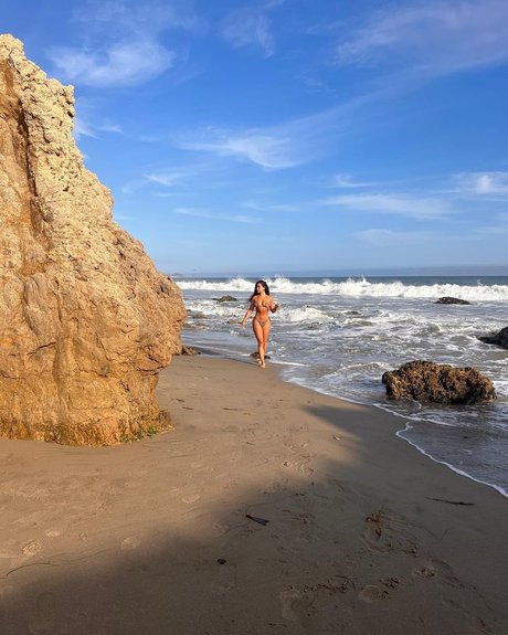 Malaika Terry star adult archive