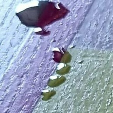 scarlett johnson24 naked model photo