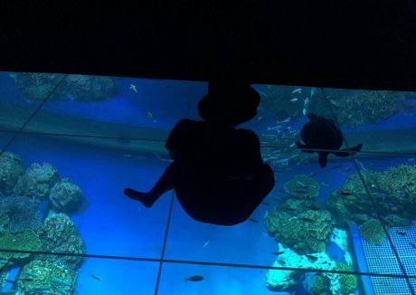 Pchan666 model top archive