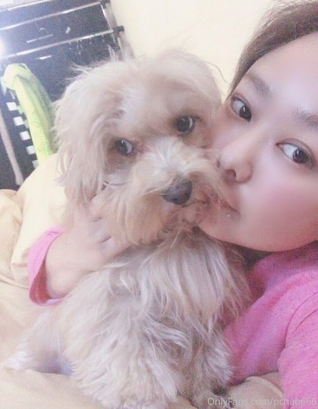 Pchan666 pretty actress images