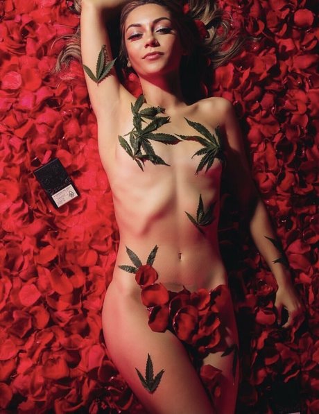 bikini princess onlyfans free sexy archive