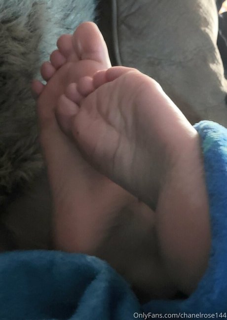 shemale ass onlyfans pornos archive