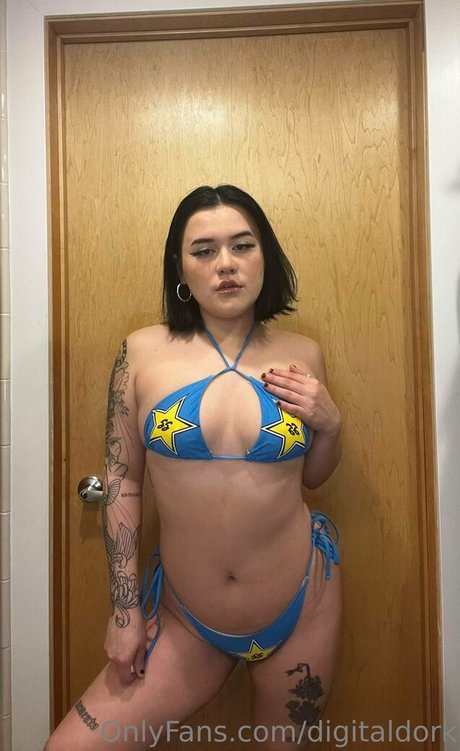 digitaldork model perfect picture