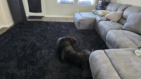 Match My Freak exclusive pornstar archive