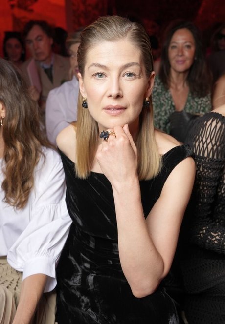 Rosamund Pike top star gallery