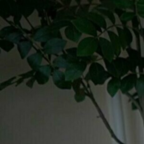 kaylee free model perfect images