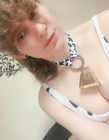 parkdaleart star nude gallery