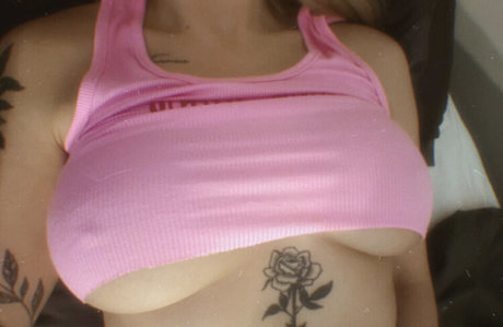 Allieesaur free model image