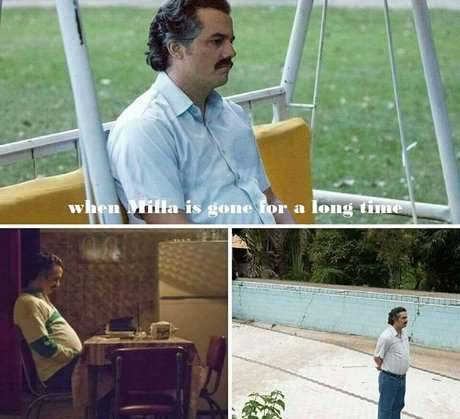 milla snake best pornstar gallery