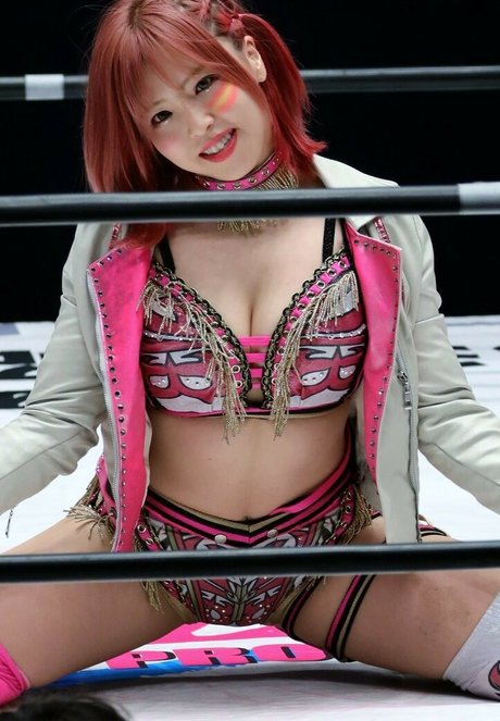 Mina Shirakawa pornstar xxx archive