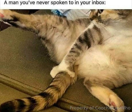 coochielouwho xxx pornstar picture