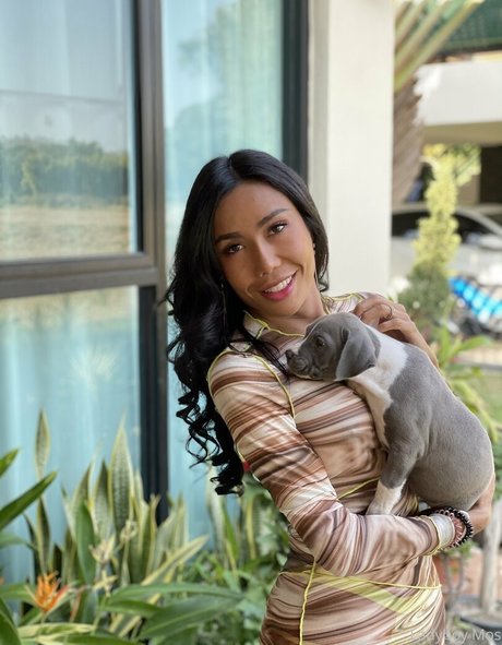 ladyboymos porn actress img