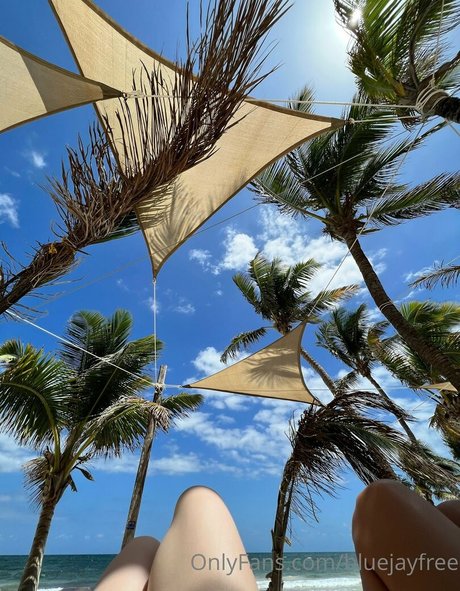 bluejayfree star pornographic archive