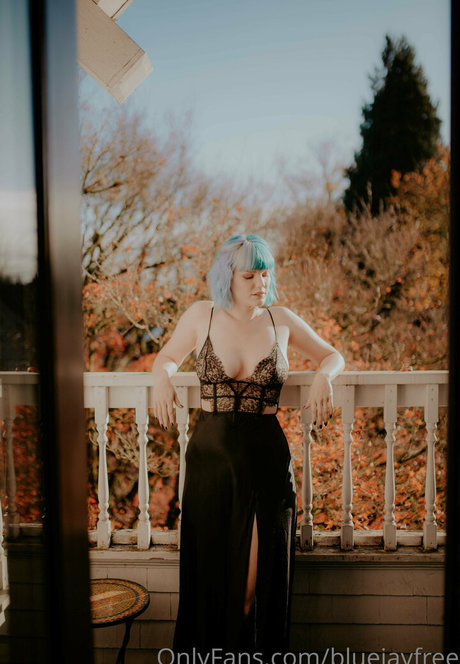 bluejayfree star free photos