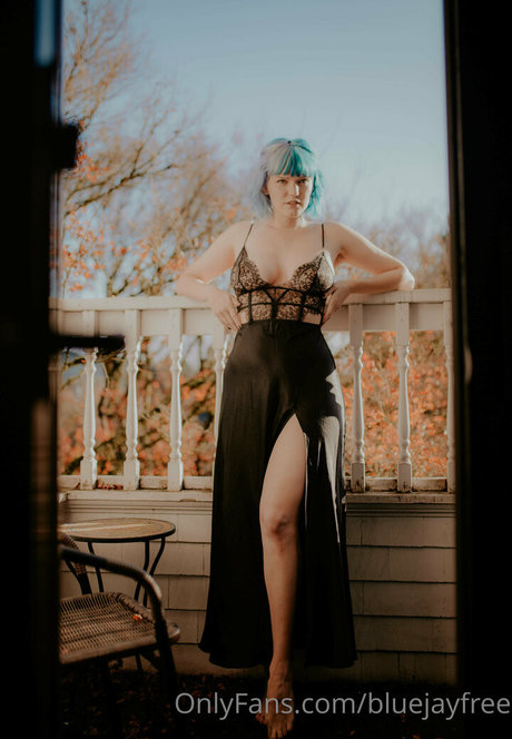 bluejayfree star pretty pic