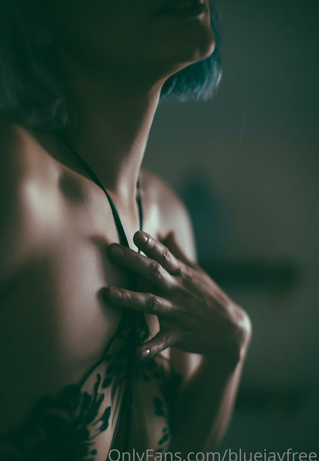 bluejayfree beautiful star pic