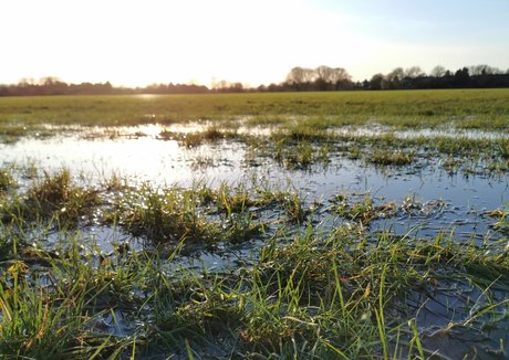 houseofrae sexy pornstar archive