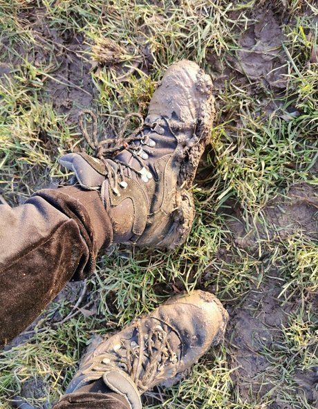 houseofrae art star img