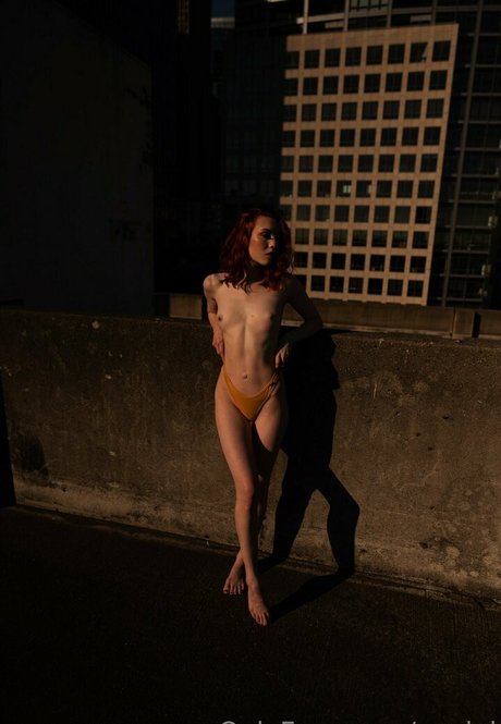 evejoi pornstar perfect img