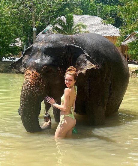 Fernanda Schneider model free img