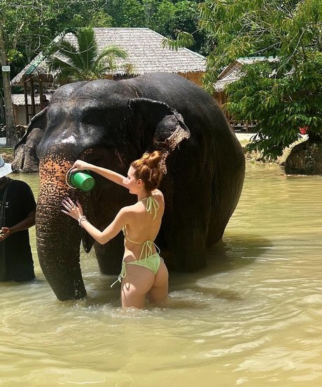 Fernanda Schneider exclusive model picture