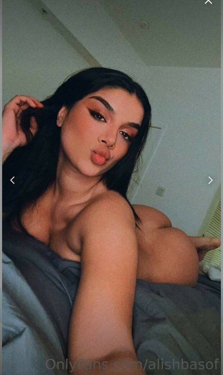 Alishbasheikh art actress images