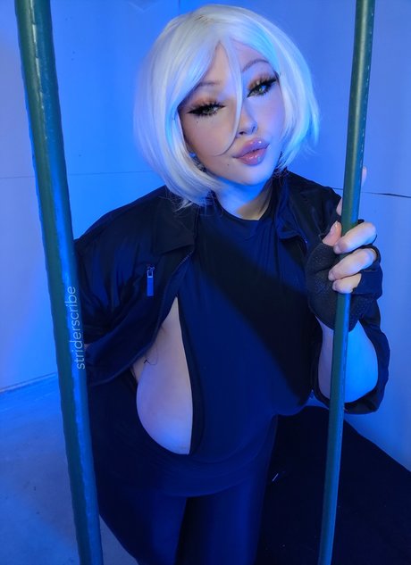 Strider scribe model beautiful image