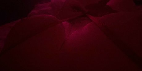 college girl onlyfans top images