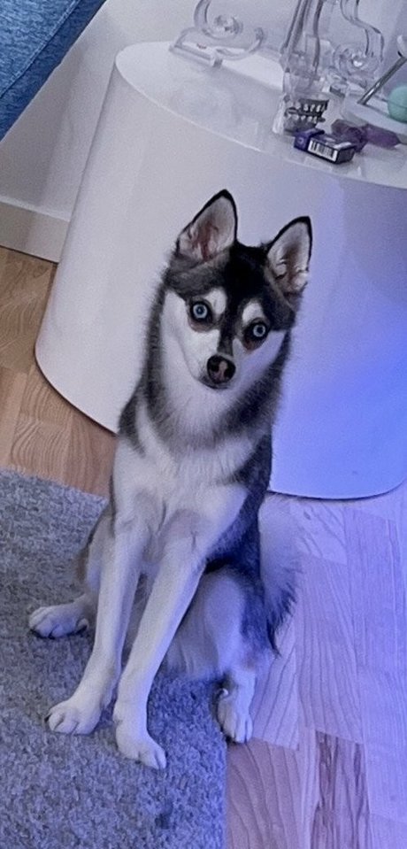 facesitting onlyfans xxx photo