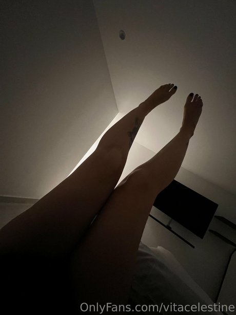 Vita celestine pornographic actress gallery