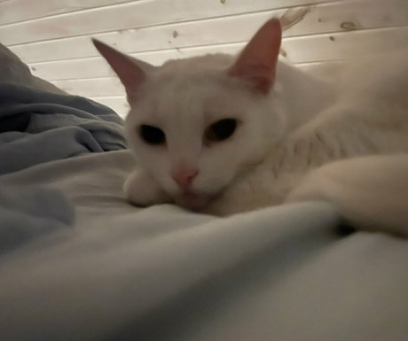 ass spread onlyfans best archive