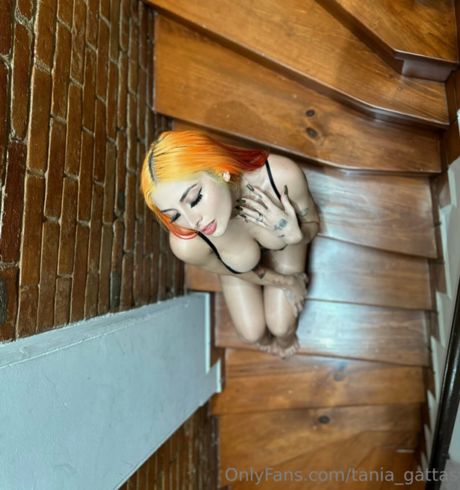 Tania Gattas sexy pornstar pics