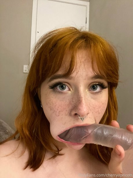 Cherry Apricots high quality model pics