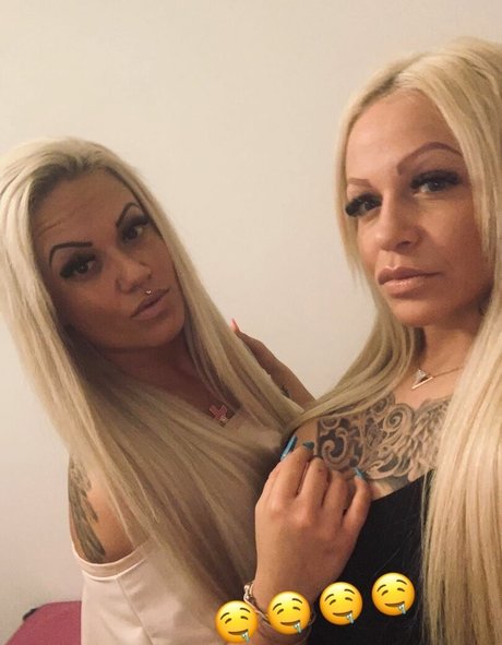 pekarvivi perfect star archive