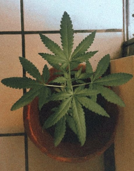 brazilian teen onlyfans free sex images